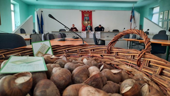 La conferenza stampa della 452^ Fiera Fredda La conferenza stampa della 452^ Fiera Fredda