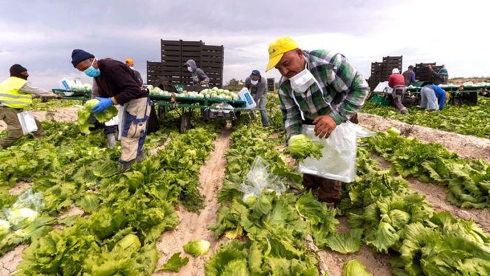 In Piemonte stop al lavoro per braccianti ed operai sotto il sole