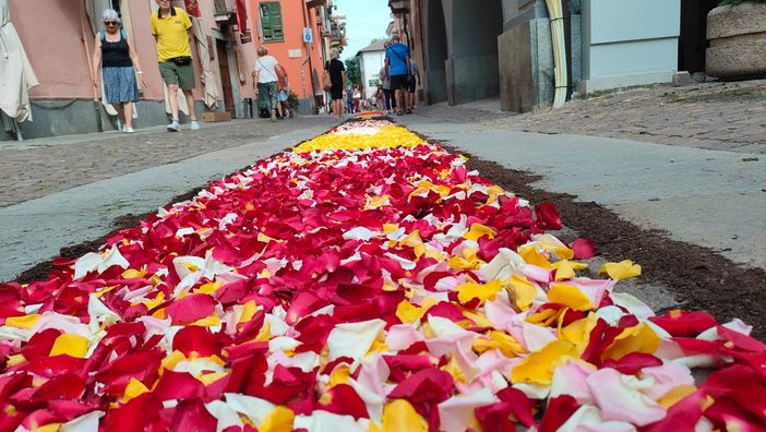A Cuneo è tornata l'infiorata... aspettando la processione della Madonna del Carmine