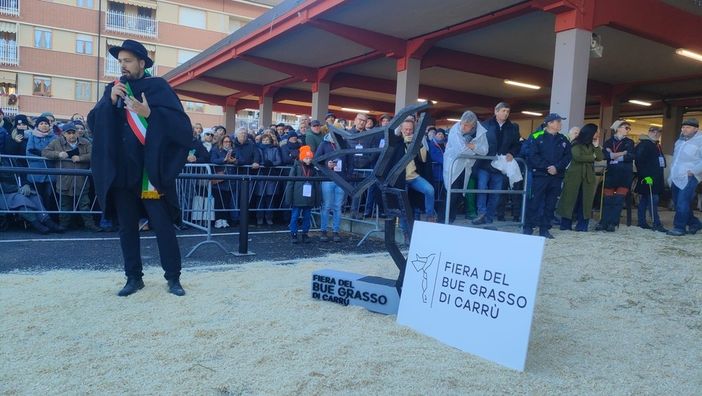 Fiera del Bue Grasso di Carrù: un successo che dura da 113 anni [VIDEO]
