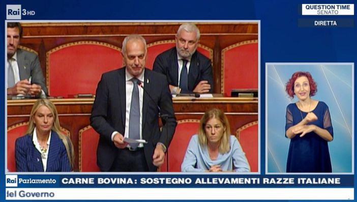 Giorgio Maria Bergesio