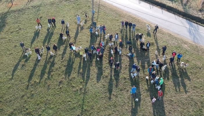 Tra i vigneti di La Morra un partecipato raduno di Siberian Husky