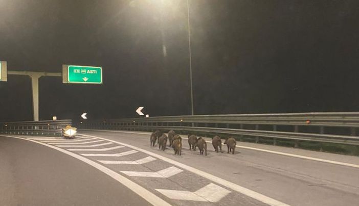 Immagine di repertorio Immagine di repertorio