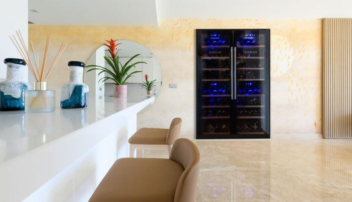 L'importanza di una cantinetta vino