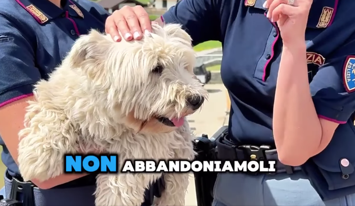 Periodo di partenze: lo spot della Polizia di Stato contro l'abbandono degli animali