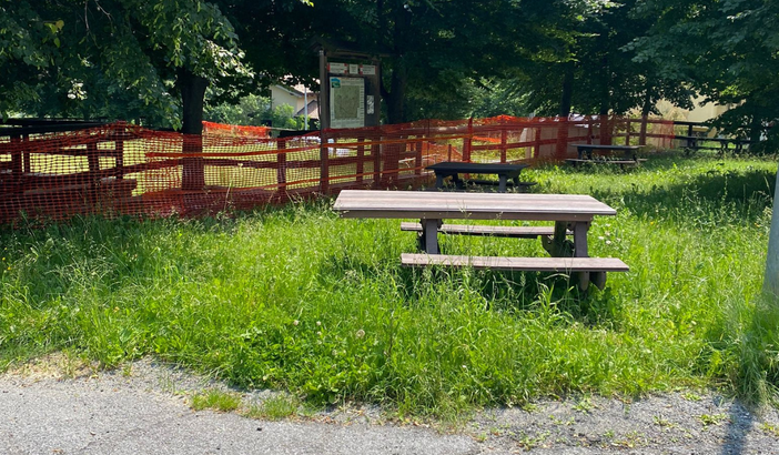 Peveragno e i disagi del verde pubblico: "Da una ditta sola ora ne gestiamo quattro. Ora interventi più tempestivi" Peveragno e i disagi del verde pubblico: "Da una ditta sola ora ne gestiamo quattro. Ora interventi più tempestivi"