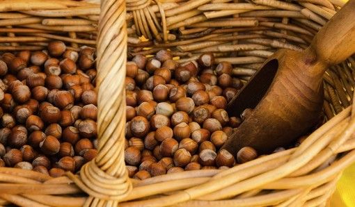 Foto generica Foto generica