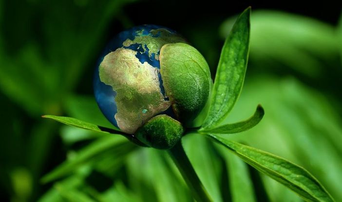 Foto generica Pixabay