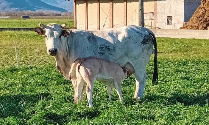 Un ringraziamento ai Vigili del Fuoco di Saluzzo