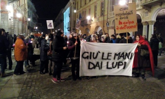 "Giù le mani dai lupi": in corteo dal municipio di Cuneo a Piazza Galimberti per protestare contro l'abbattimento selettivo (GUARDA LA GALLERY E IL VIDEO) "Giù le mani dai lupi": in corteo dal municipio di Cuneo a Piazza Galimberti per protestare contro l'abbattimento selettivo (GUARDA LA GALLERY E IL VIDEO)