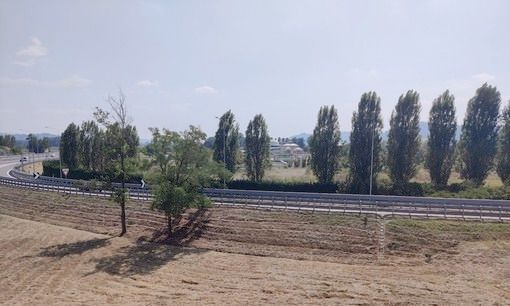 La zona dove sorgerebbe l'impianto progettato dalla Govone Biometano Srl La zona dove sorgerebbe l'impianto progettato dalla Govone Biometano Srl