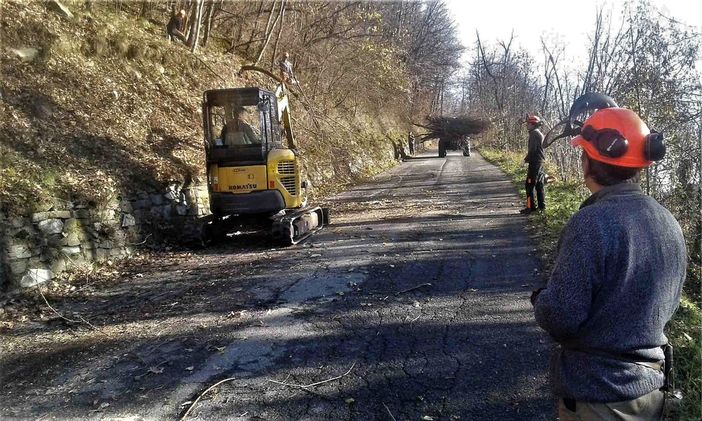 Operai forestali al lavoro a Sampeyre