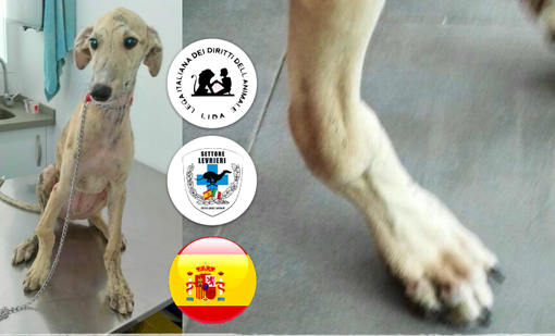 Immagine di repertorio Immagine di repertorio