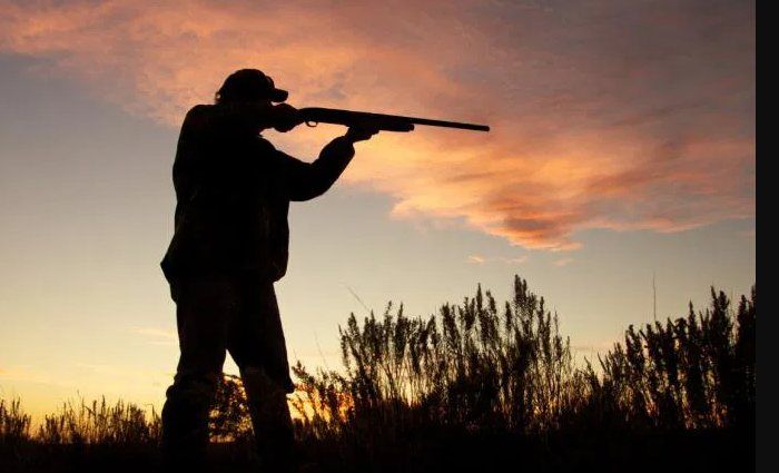 Niente caccia in Piemonte, il Tavolo Animali&amp;Ambiente plaude alla decisione del TAR: "Poca trasparenza dalla Regione"