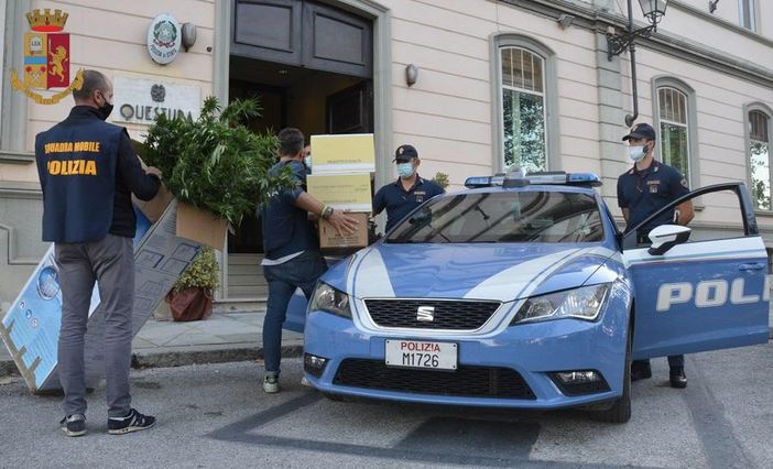 In casa 13 piante di marijuana alte due metri e 1,3 chili di sostanza: arrestato 19enne di Peveragno, "beccato" grazie al fiuto di un poliziotto In casa 13 piante di marijuana alte due metri e 1,3 chili di sostanza: arrestato 19enne di Peveragno, "beccato" grazie al fiuto di un poliziotto