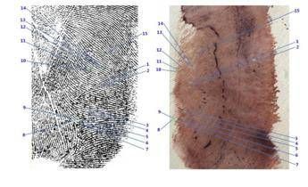 Caso Garlasco, scontro sulle perizie. Garofano: &quot;Consulenza Procura su impronta 33 è errata&quot;
