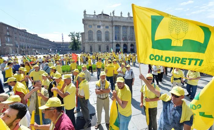 Fauna selvatica, Coldiretti chiede "meno risarcimenti, più prevenzione"