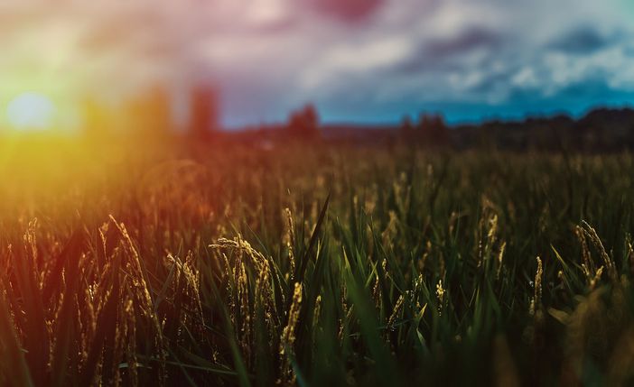 Weekend all'insegna del bel tempo: primo fine settimana di settembre con 30°C