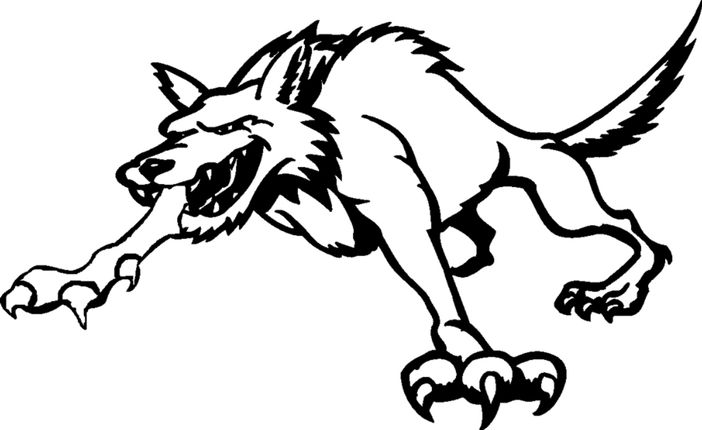 Fossano, il lupo perde il pelo ma…