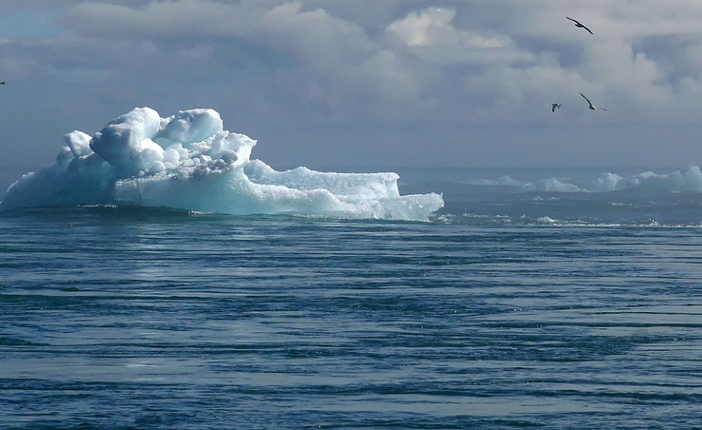 Immagine generica Pixabay