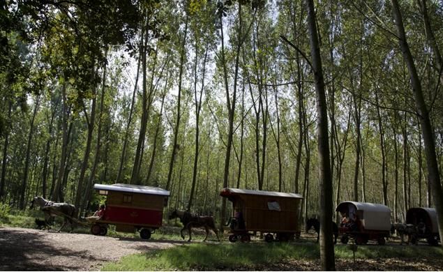 La Carovana Balacaval mette Zig-z-ania e incontra le carovane manouche e sinti