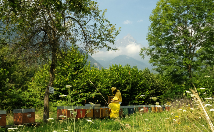 Formazione per aziende agricole del GAL: tre incontri su comunicazione e commercializzazione