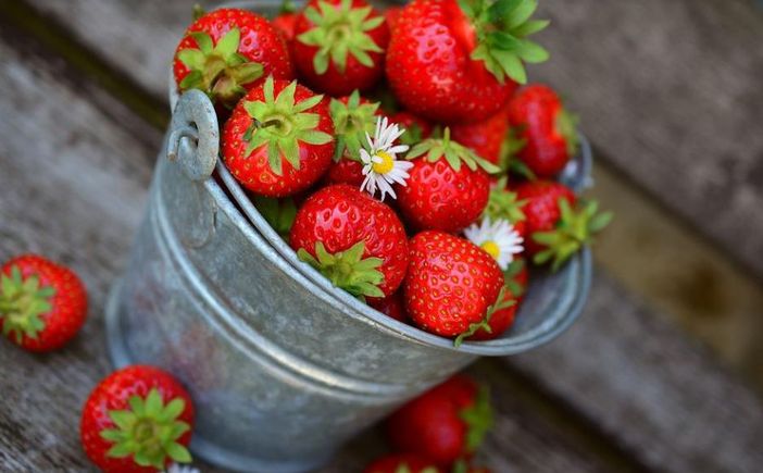 A Sommariva Perno un concorso di pittura per esaltare la bellezza del “paese della Bela Rosin”