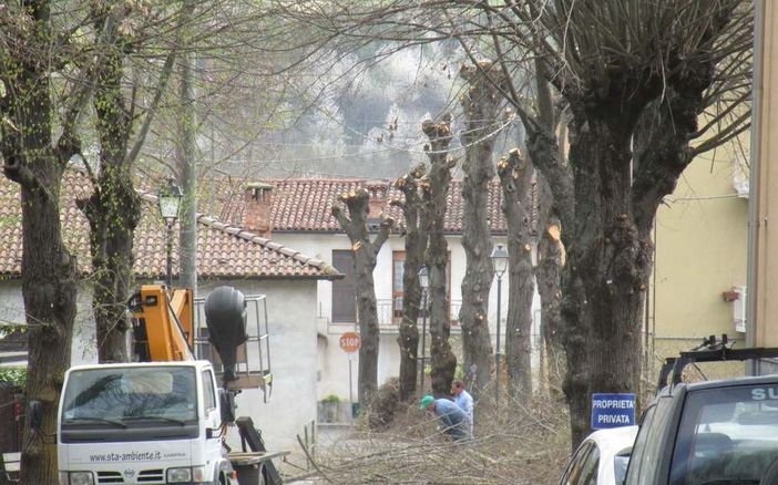 Bagnasco: potare è un arte... che pochi sembrano conoscere davvero