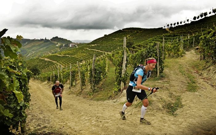 Spettacolare percorso per l'Ultra Trail del Moscato d'Asti, tra Langa e Valle Belbo