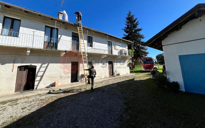 Peveragno, cascina “assediata” dalle vespe: i vigili del fuoco bonificano la canna fumaria da un enorme vespaio