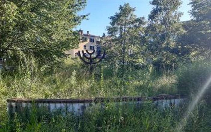 Erba alta attorno alle scuole di Mondovì: Forza Italia parla di "foresta verde dell'incuria" Erba alta attorno alle scuole di Mondovì: Forza Italia parla di "foresta verde dell'incuria"