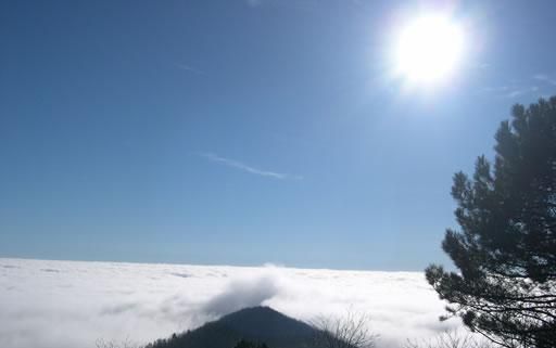 Foto generica Foto generica