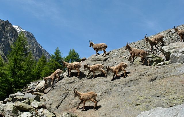 Priocca: si presenta il libro di Vincenzo Decarolis dal titolo “Lui, il nero”