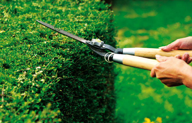 Immagine di repertorio