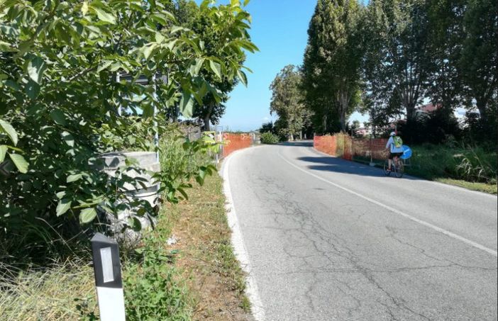 Lavori per la variante di Racconigi, sarà necessario abbattere alcuni platani
