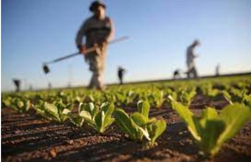 Titoli PAC: al secondo anno di inutilizzo vengono persi