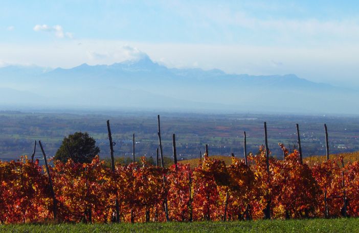 A Monte Carlo si presenta la candidatura Unesco dei paesaggi vitivinicoli di Langhe e Roero A Monte Carlo si presenta la candidatura Unesco dei paesaggi vitivinicoli di Langhe e Roero