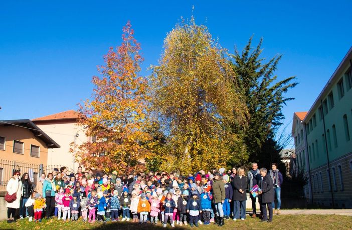 La festa dell'Albero di Paesana (Foto di Elena Paschetto)