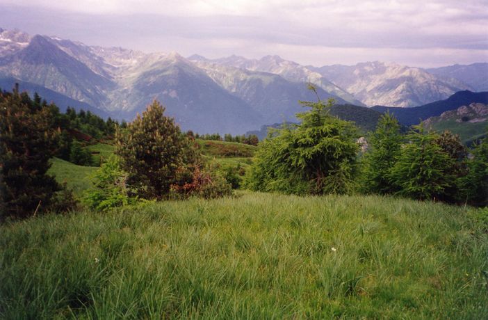 La Comunità Montana Valli Grana e Maira a sostegno delle attività delle squadre forestali regionali