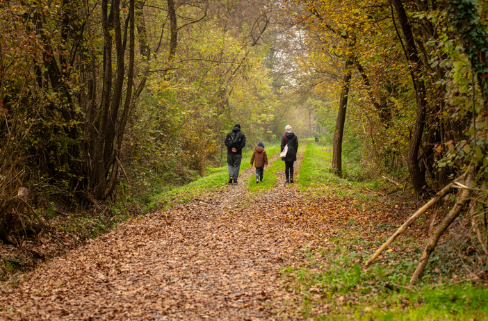 Immagine di repertorio Immagine di repertorio