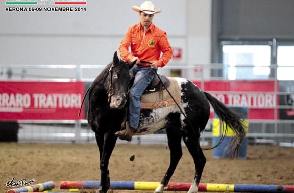 Immagine di gara web