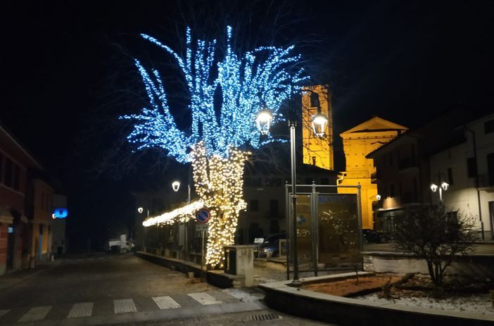 L'albero in piazza Umberto I