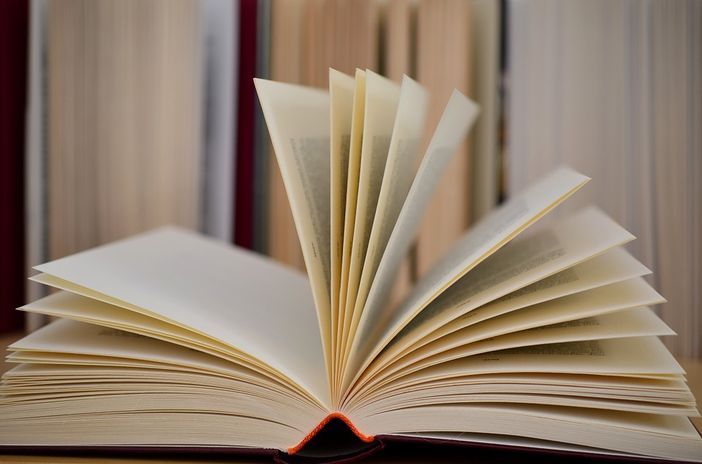 Nati per leggere a Bra, tra maschere e mostri giapponesi