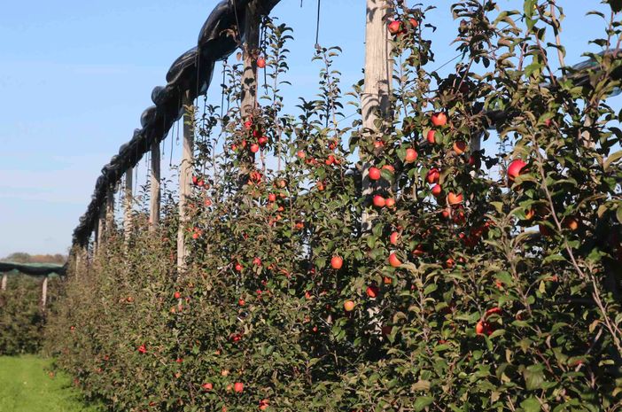 Immagine di repertorio