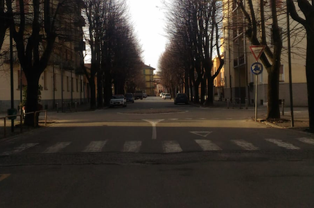 Abbattimento dei tigli a Fossano: continuano le precisazioni dei Radicali Abbattimento dei tigli a Fossano: continuano le precisazioni dei Radicali