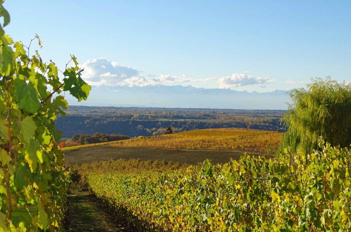 L’Unione Europea premia le aziende agricole, i negozi e i ristoranti che producono e scelgono il biologico