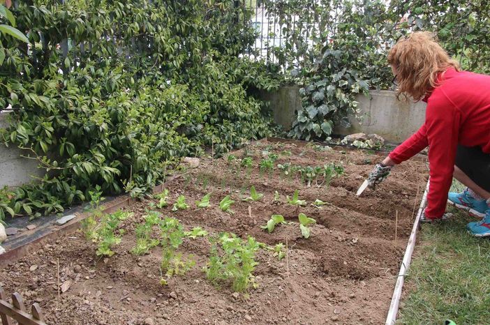 Un piccolo orto a uso famigliare ricavato nell'area verde dell'abitazione