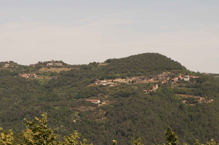 Ad Arguello nasce "Ritorno al futuro": si torneranno a coltivare 15 ettari di terreni abbandonati