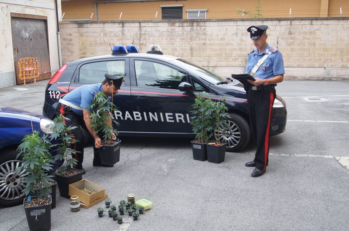 Sequestrato un chilo di droga e 2 persone arrestate alle porte di Vinadio
