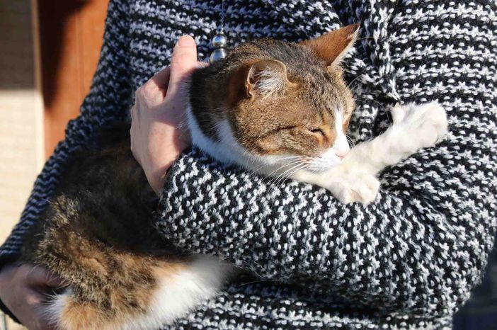 Le aziende agricole potranno realizzare sui loro terreni i cimiteri per gli animali da compagnia aperti a tutti i cittadini Le aziende agricole potranno realizzare sui loro terreni i cimiteri per gli animali da compagnia aperti a tutti i cittadini
